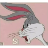 Animais 7