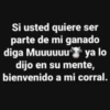 🥵🥴❤️ Para tu Crush ❤️🤤🥵 23