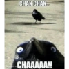 CHAN CHAN...
CHAAAAA!!
Quebolu.co
C