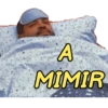 A
MIMIR