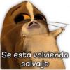 Stickers de Memes 30