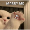 MARRY ME