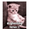 Kucing unyu💕 12