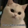 !!
Chale q flojera contestar