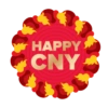 Oloiya CNY 13