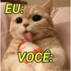 EU:
VOCÊ