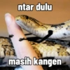 Cute snake 7