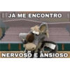 Cavalinho do Botafogo 28
