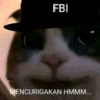 Kucing lucu 21
