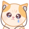 Gato Titi 13