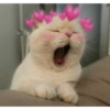 Gatos tiernos #1 6