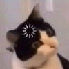 Web0s 9