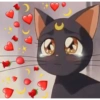 Cat heart memes 8