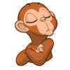 Monkey 16