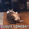 Michis Para Ti pt.5🐱❤️ 5