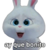Snowball con frases 🐇🐰 10