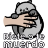 Gatitos riéndose 🐱😈 19