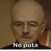 Monos y monas  6