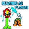 REGANDO AS
PLANTAS
0