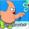 Petrik 28