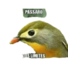 Animais 13