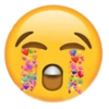 Emoji_tiktok 25