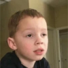 Gavin meme 9