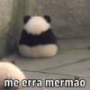 me erra mermão