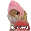 Holi UwU
