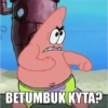 Petrik 10