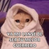 YA ME CANSÉ DE
SER TU MEJOR
GUERRERO