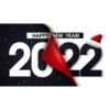 New Year 2022 🎉❄️ 15