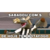 Cavalinho do Botafogo 13