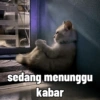 Kucing unyu💕 9