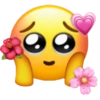 Emoji_tiktok 12