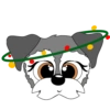 Schnauzer Navidad 10
