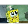 Spongebob Reactions<3 10