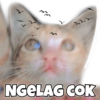 AkuPadamu 14