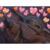 ღ Star Wars in love ღ 13