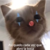 Asi quedo cada vez que @michis.parati abro la boca