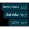 kamu lucu 13.21
akti sluka./43.21
lopyu 13.21
