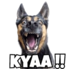 B8
KYAA!