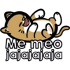 Gatitos riéndose 🐱😈 20