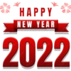 New Year 2022 🎉❄️ 8