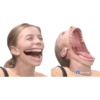 Sarcasmilo