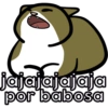 Gatitos riéndose 🐱😈 9