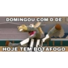 Cavalinho do Botafogo 25
