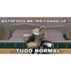 Cavalinho do Botafogo 11