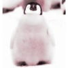 Animales 25