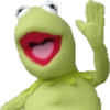 Frog 14